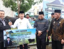 Pemprov Maluku Salurkan155 Hewan Kurban di Idul Adha 1445 H